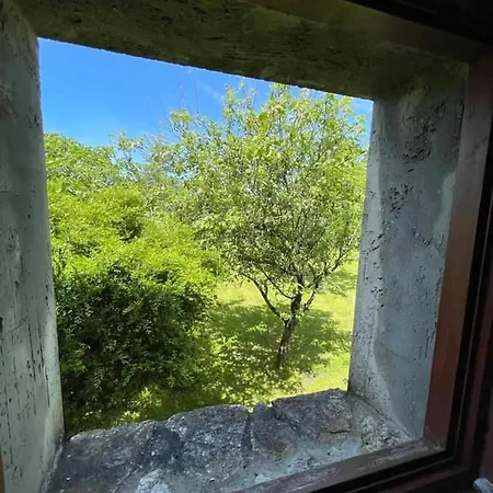Holiday home La Campera Vacation In Vidiago